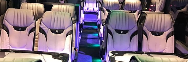 VIP Bus 1